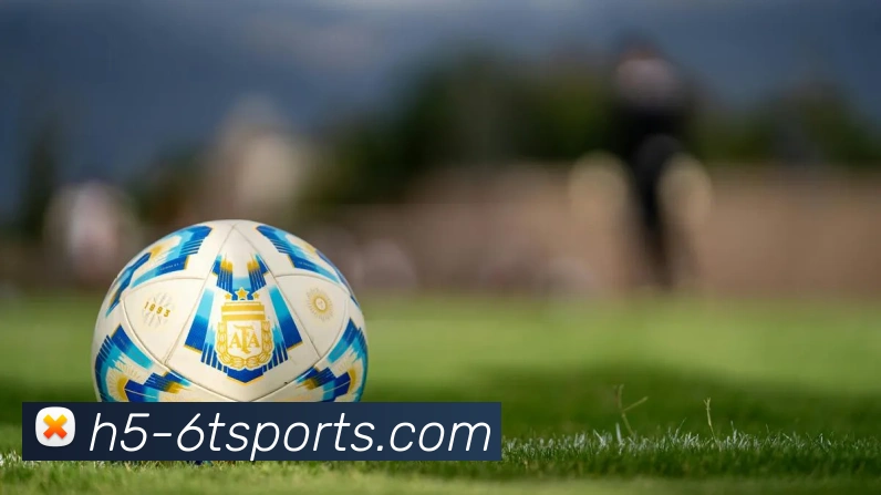 体育下注平台生态图